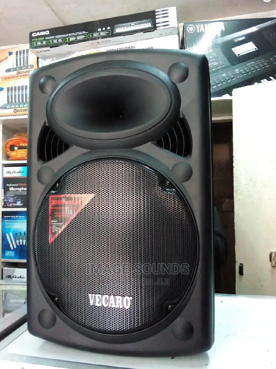 Powered Speaker Vecaro 15"