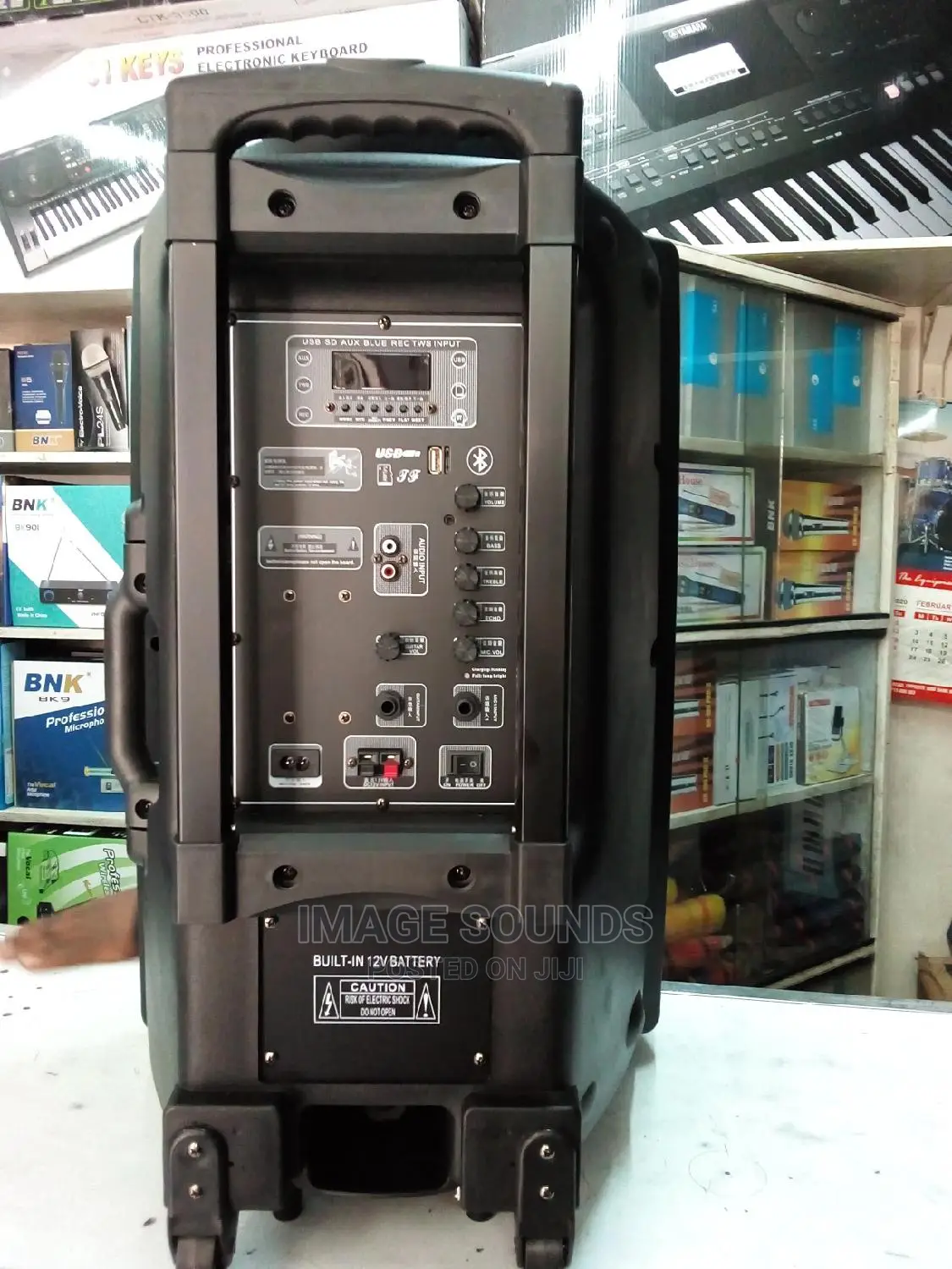 Powered Speaker Vecaro 15"