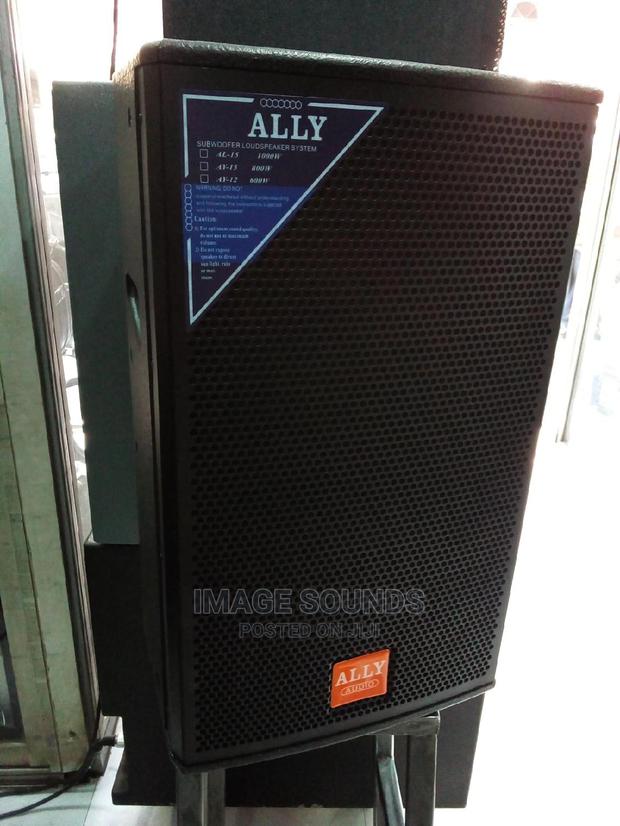 Speaker Ally-Audio AY 12"