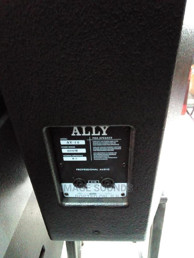 Speaker Ally-Audio AY 12" - thumbnail 2