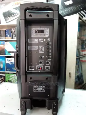Powered Speaker 15"