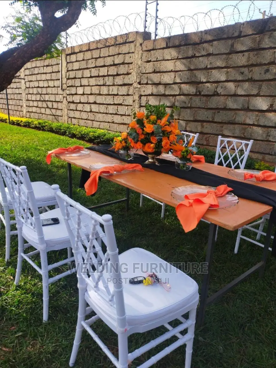 Dinning Chairs