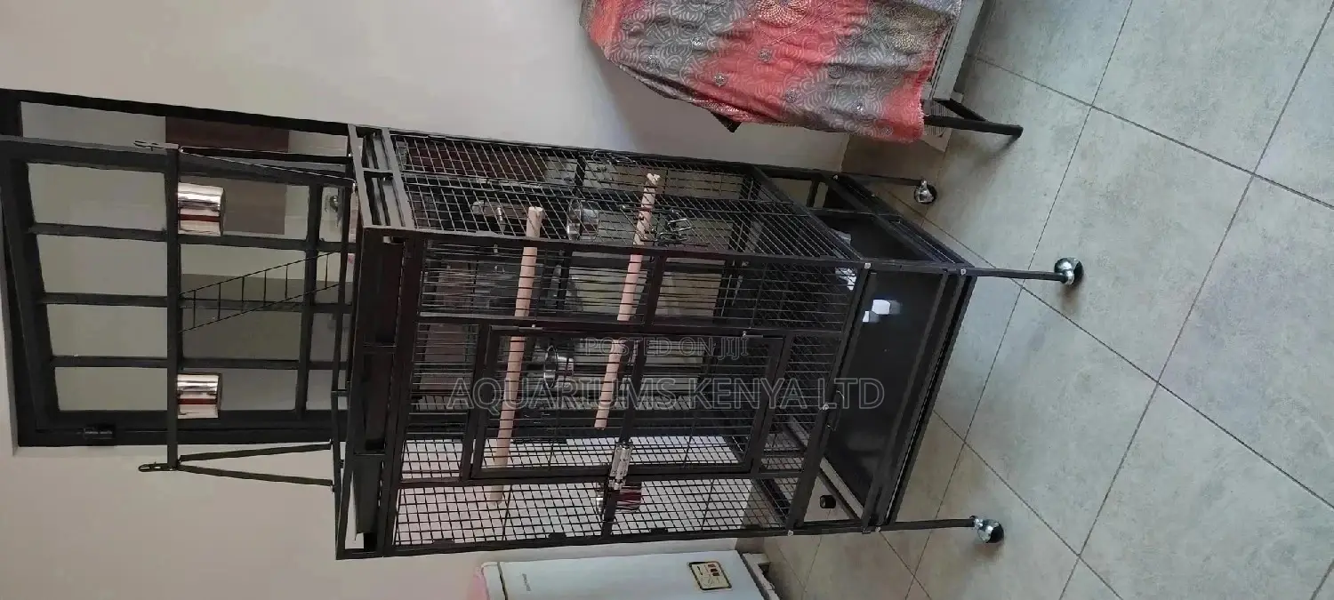 Big Beautiful Cage, for Parrots and Cockatiels