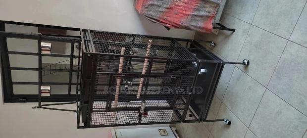 Big Beautiful Cage, for Parrots and Cockatiels