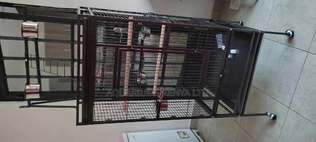 Imported Bird Cage,Easy to Maintain Bird Cage