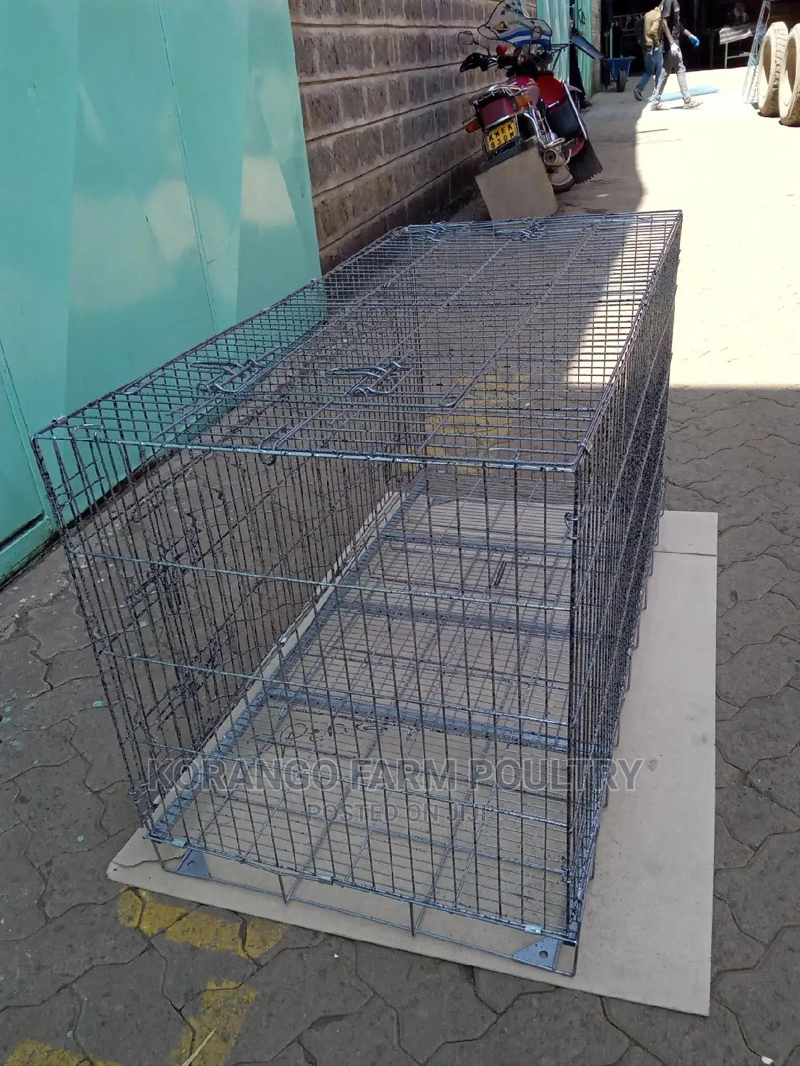 Divided Large Dog Cage