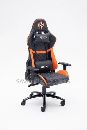 Office/Gaming Chair