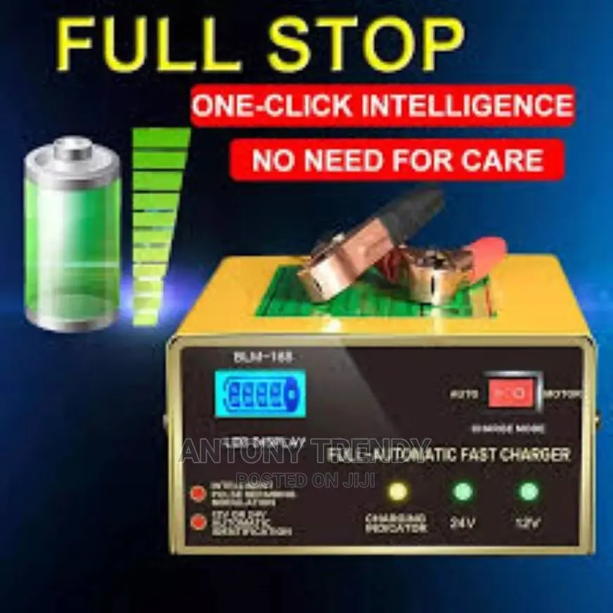 Car Battery Charger E Rickshaw Battery Charger Motorcycle