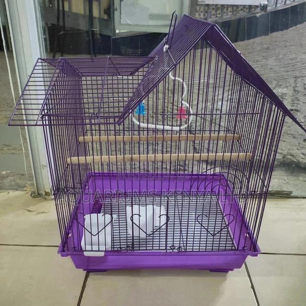 Indoor Birdcage - main view