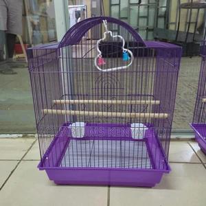 Majestic Birdcages - thumbnail 2