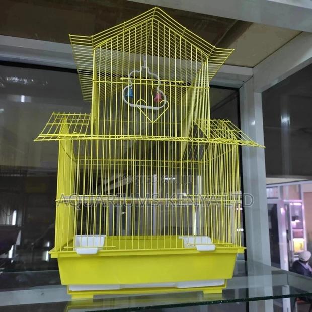 Safe Birdcages - main view