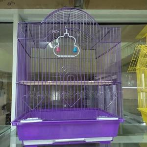 Great Birdcages - thumbnail 2