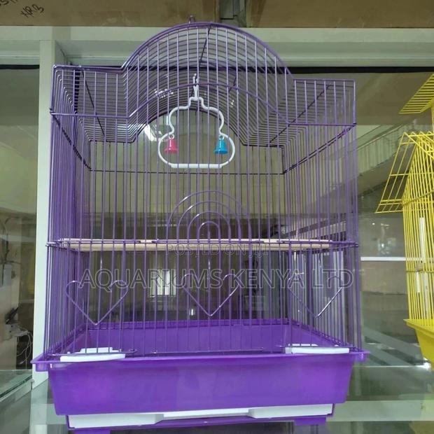 Great Birdcages - main view