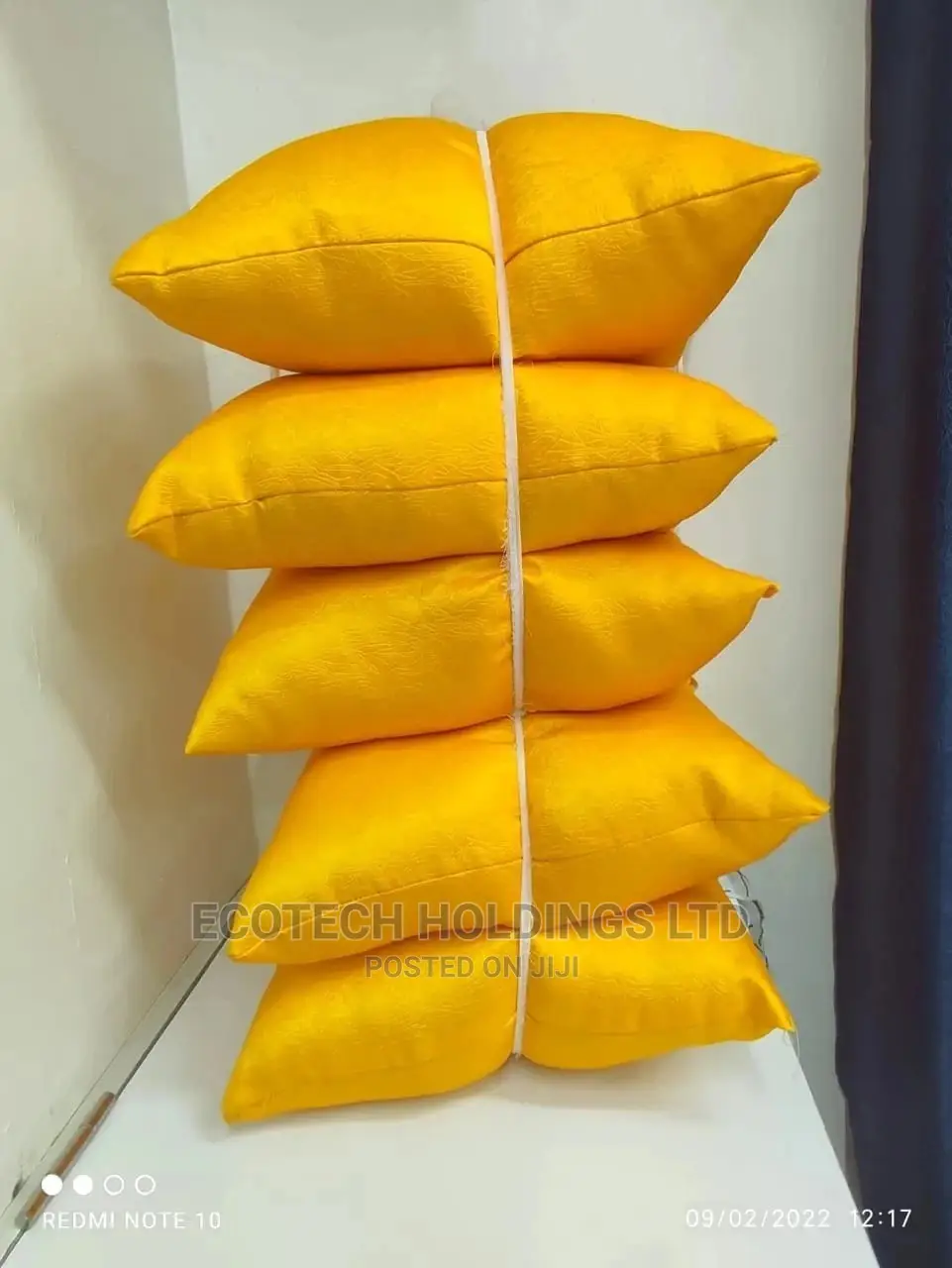 Throw Pillows