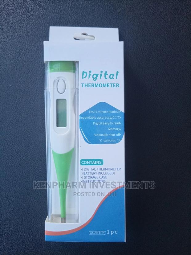 Digital Thermometer - main view