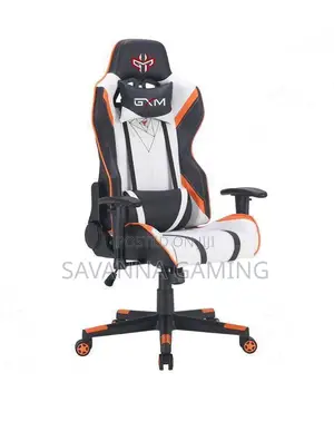 Gym Office Chair