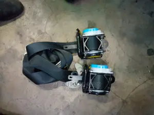 Fielder 2013 Rear Safety Belts