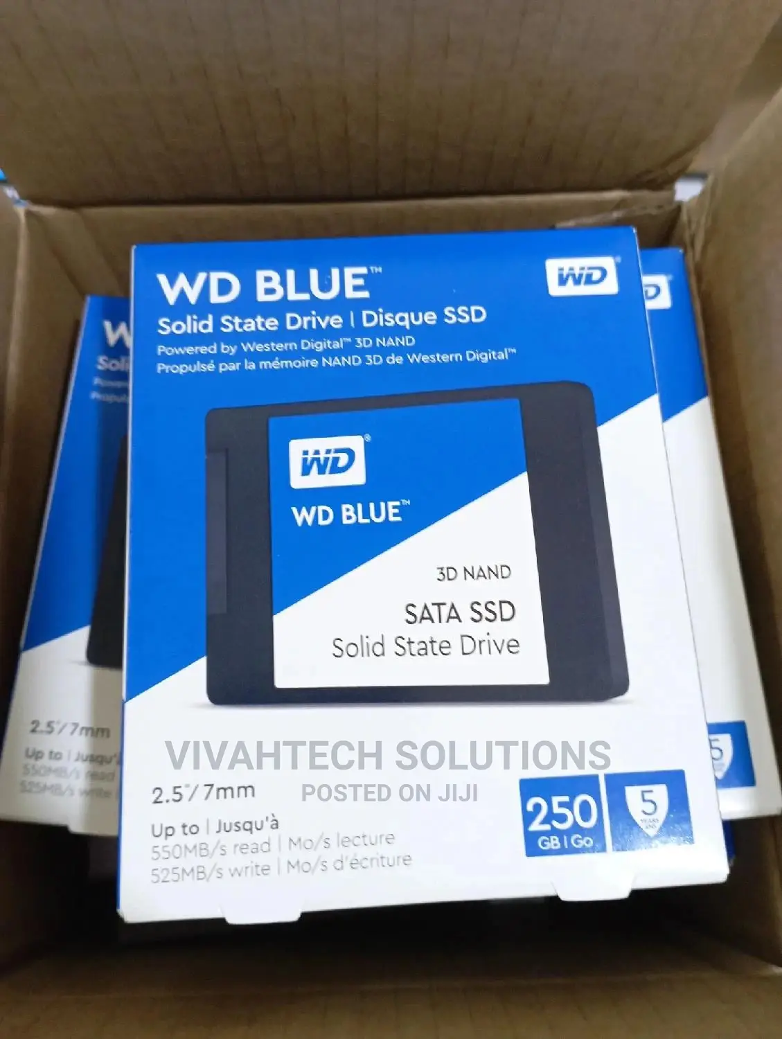 WD Bluetm 2.5" Sata Internal Ssd 250gb