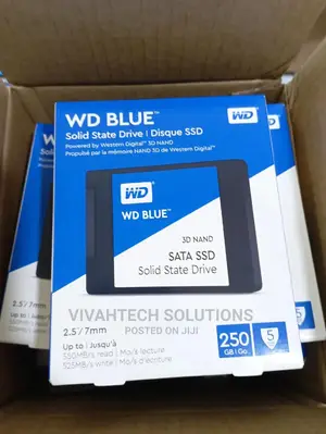 WD Bluetm 2.5" Sata Internal Ssd 250gb