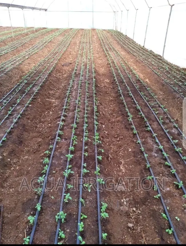 Driplines Spacing 15,20 30cm in Stock