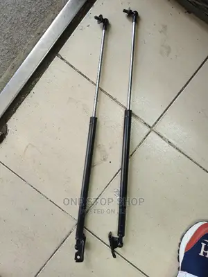 2pcs Probox Rear Boot Shocks