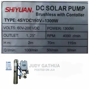 Dc Solar Pump Submersible With a Contoller