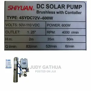 Shiyuan Submersible Water Pump 35m