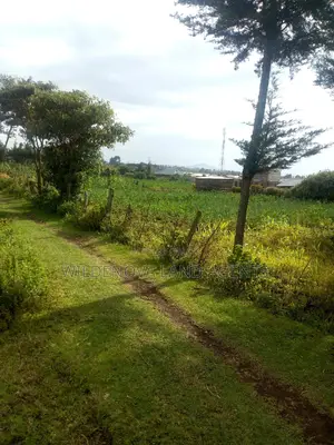 Plot on Sale at Naivasha Kinungi