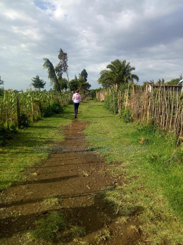 Plot on Sale at Naivasha Kinungi - thumbnail 4
