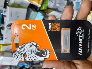 Advance 2gb Flash Disk