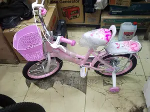 Kids Bike Size 16