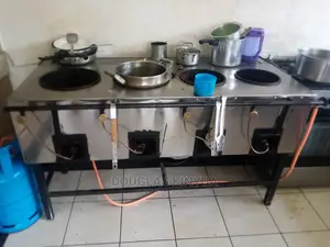 Stainless Steel Gas Boiler Jiko
