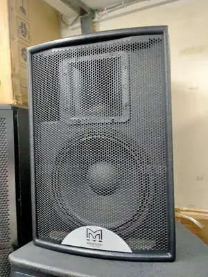 Martin Audio Monitor Speaker