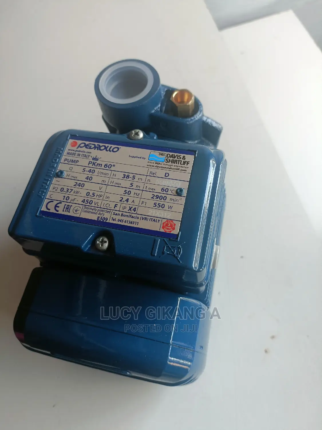 Pedrollo Water Pump