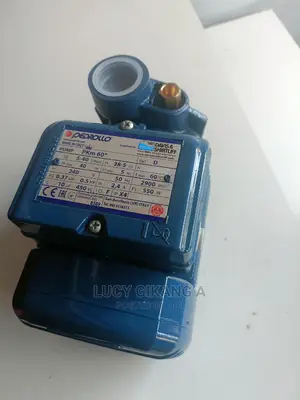 Pedrollo Water Pump