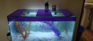 50L , Aquarium Complete With Fish - thumbnail 2
