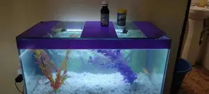 50L , Aquarium Complete With Fish
