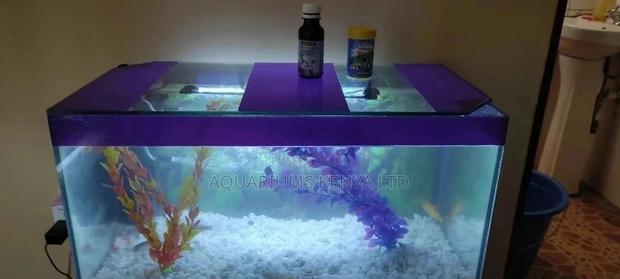 50L , Aquarium Complete With Fish - main view