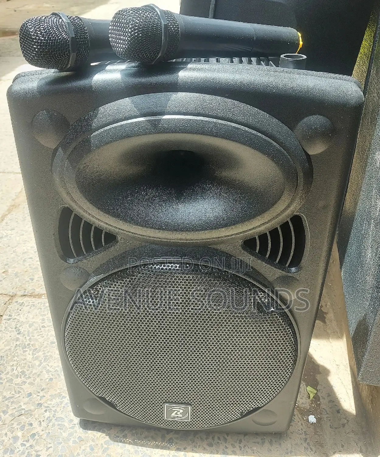 Portable Speaker 12 Inch With 2 Wireless Microphones