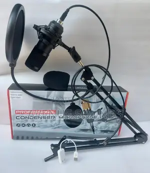 Professional Condenser Microphone Studio Package