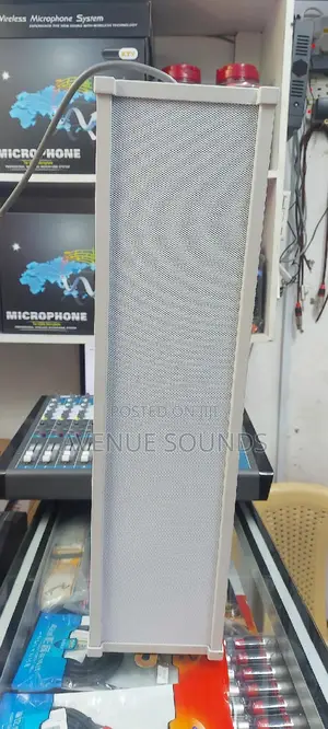 Wall Mount Speaker