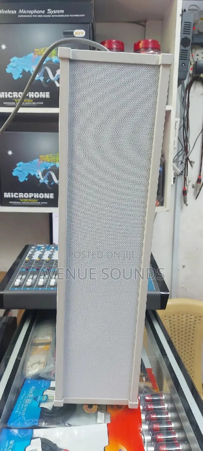 Wall Mount Speaker