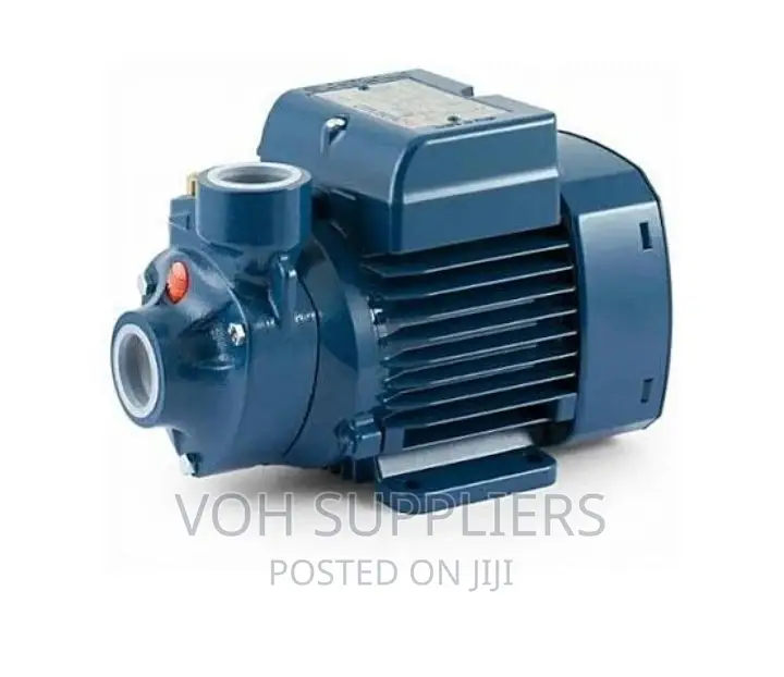 NEW Pedrollo Water Pump