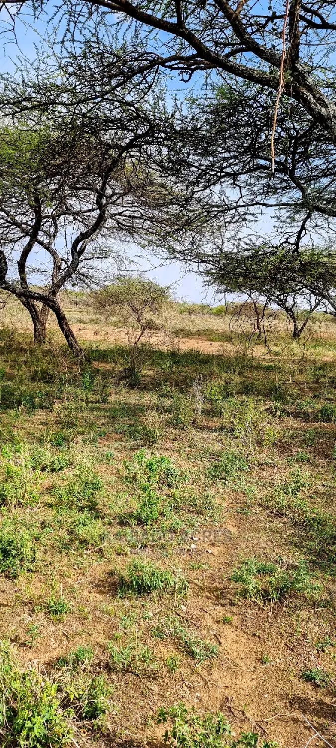 Prime 5 Acres Soitamurt, Najlile at 400kper Acre
