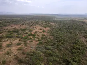 Prime 5 Acres Soitamurt, Najlile at 400kper Acre