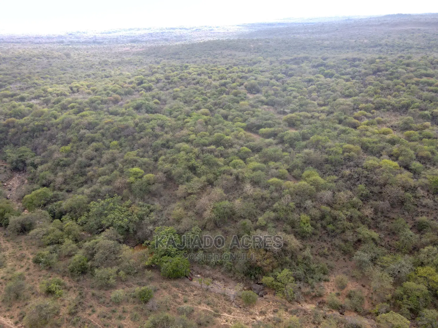 Prime 5 Acres Soitamurt, Najlile at 400kper Acre