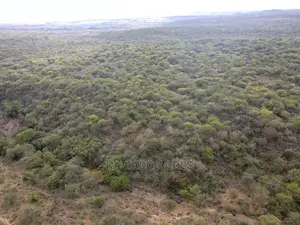 Prime 5 Acres Soitamurt, Najlile at 400kper Acre