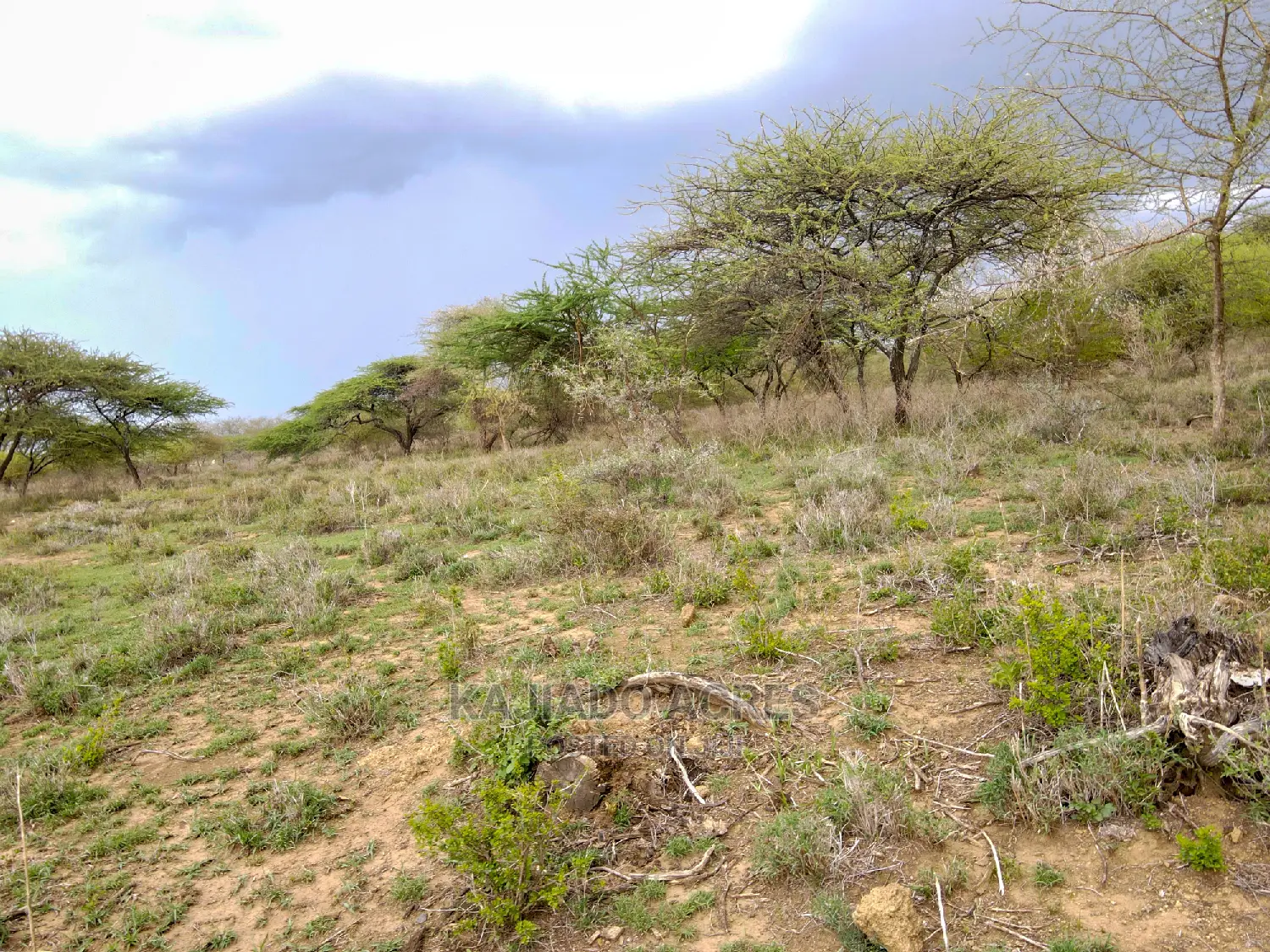 Prime 5 Acres Soitamurt, Najlile at 400kper Acre