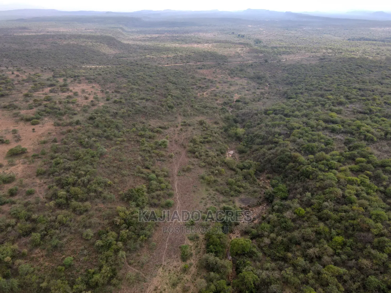 Prime 5 Acres Soitamurt, Najlile at 400kper Acre