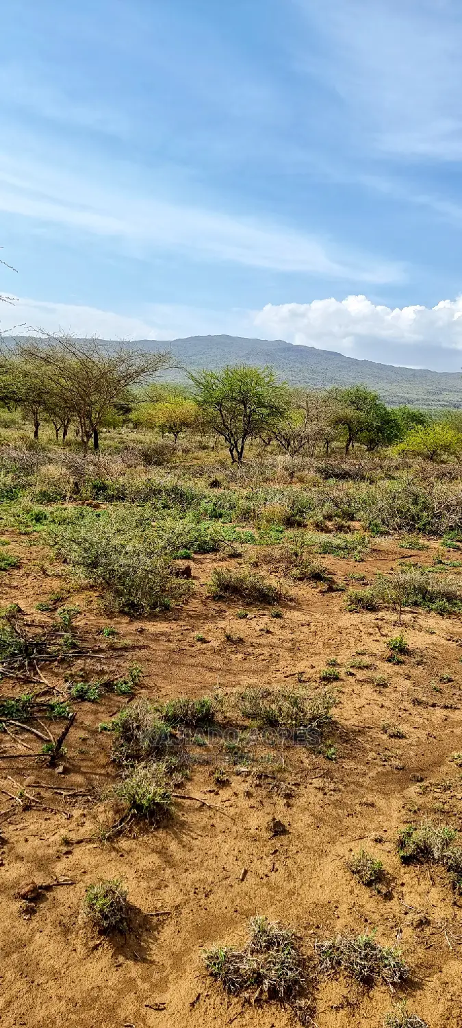 Prime 5 Acres Soitamurt, Najlile at 400kper Acre